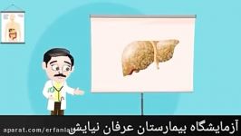 آنچه باید در مورد کبد چرب بدانید