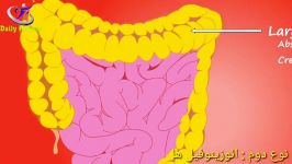 چگونه بیمار نشویم؟ تقویت سیستم ایمنی بدن