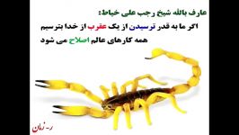 سخنی شیخ رجب علی خیاط