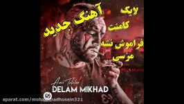 آهنگ جدید متفاوت تتلو نام دلم میخواد Amir Tataloo  Delam Mikhad