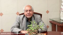 دکتر سید محمد جزایری متخصص ارتوپدی جراح استخوان ، مفاصل عضلات