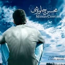 محسن چاوشی فول آلبوم mohsen chavoshi full album