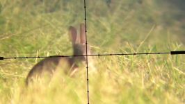 شکار خرگوش تفنگ بادی دوربین دار وایرخ HW100