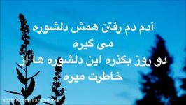 ویدیو کاراوکه بهت قول میدم محسن یگانه