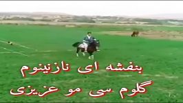 مهران علیزاده بنفشه نازنینم