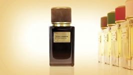 عطرهای سری Velvet دولچه گابانا