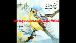 عاشق دیوانه سید جلال الدین محمدیان