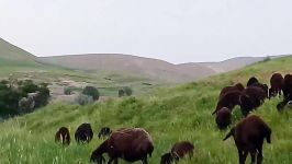 نمایی بسیار زیبا روستای قورمیش❤