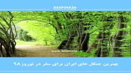 زیباترین جنگل های ایران