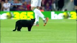 ورود گربه به زمین بازی بارسلونا الچه رو متوقف کرد