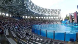 حرکت نمایشی کوسه ها   One Ocean All New Shamu Show SeaWorld Orlando  One Ocean