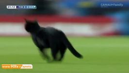 گربه در بازی بارسلونا   الچه