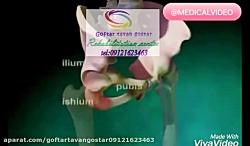 کار درمانی کرج البرز مهرشهر فرديس عظيميه  بهترین کلینیک طالقانی09121623463