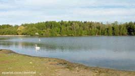 دریاچه مارکام در کانادا Markham lake Canada