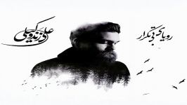 آهنگ علی زند وکیلی به نام نمی آیی