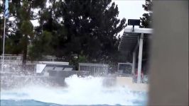 حرکت نمایشی کوسه ها   Seaworld SHAMU Killer Whale Show At Seaworld San Diego