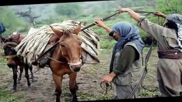 بمیرم سیت حشمت رشیدی