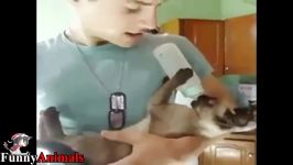 سگ گربه خانگی  Soo Cute Cats and dogs wants to be held like baby