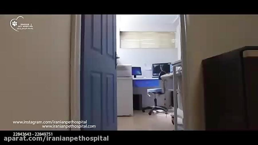 بخش رادیولوژی سونوگرافی بیمارستان دامپزشکی ایرانیان