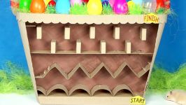 راه رو های هزار تو برای موش قشنگ  Hamsters hunt for eggs in a basket