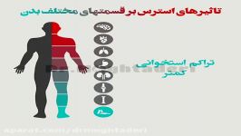 تاثیر استرس بر قسمتهای مختلف بدن