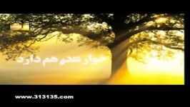 نماهنگ نجوای عاشقانه امام زمان عج