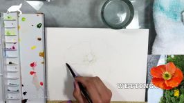 آموزش نقاشی  Orange Poppy in Watercolor Painting Demonstration