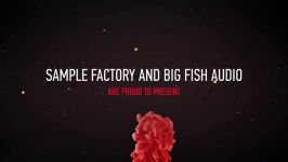 دموی مجموعه کیت آهنگ Big Fish Audio Trapture