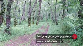 مردم ایران در جنگل‌های هیرکانی چه می‌کنند؟