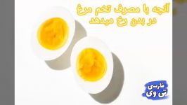 با خوردن تخم مرغ چه اتفاقی‌ در بدن رخ میدهد