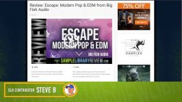 Review Examples Escape Modern Pop EDM by Big Fish Audio