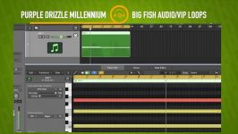 Review Examples Purple Drizzle Millennium by Big Fish Audio VIP Loops