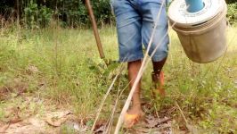 Easy Deep Hole Quail Bird Trap Using PVC And Plastic Buckets