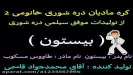 کره مادیان دره شوری شجره عالی خانومی 2 