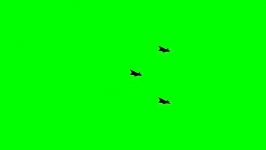 گرین اسکرین پرواز هواپیما F22 به صورت دست جمعی