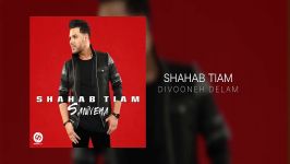 Shahab Tiam  Divooneh Delam OFFICIAL TRACK  SANIYEHA ALBUM