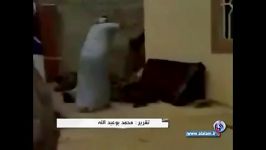 فیلم شکنجه مردم توسط نیروها ال سعود