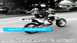 خوشا دیوانه ای هرگز عاقل نشد