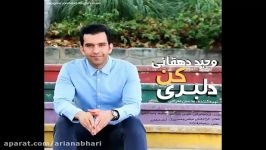 آهنگ جدید وحید دهقانی به نام دلبری کن