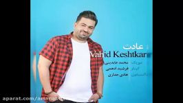 آهنگ جدید وحید کشتکار به نام عادت