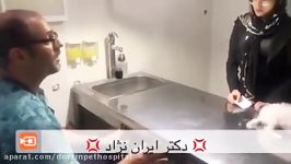 بیمارستان دامپزشکی درین ، دکتر ایرانی نژاد