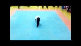 اجرای فرم دوبل نانچکو در سومین فستیوال هنرهای رزمی حهان