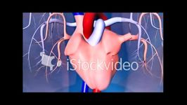 ساختار عملکرد دریچه های قلب