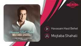 Mojtaba Shahali  Havasam Hast Behet مجتبی شاه علی  حواسم هست بهت 