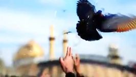 ماه محرم آمد . حسین ع آمد بعد انسانیت . عباس ع آمد بعد اخلاق ادب