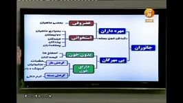 علی کرامت در فرصت برابر 7 مهر 93