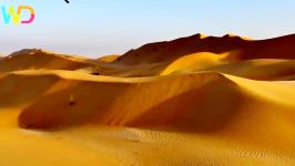 Wild Arabia  Hidden Deep in the Desert  Cold Blood Nat Geo Wild