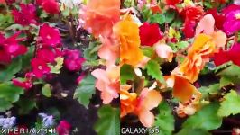 Sony Xperia Z3 vs Samsung Galaxy S5  4K Comparison