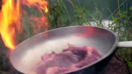 Rainy steak with mushroom sauce feat. Mr Ramsay the Owl