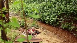 Best Chicken Alfredo  In the Forest from Scratch